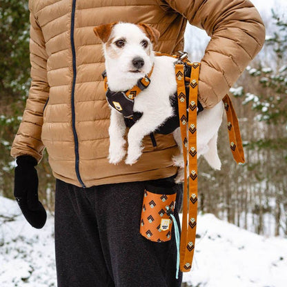 Woolly Wolf Sea To Summit Dog Leash