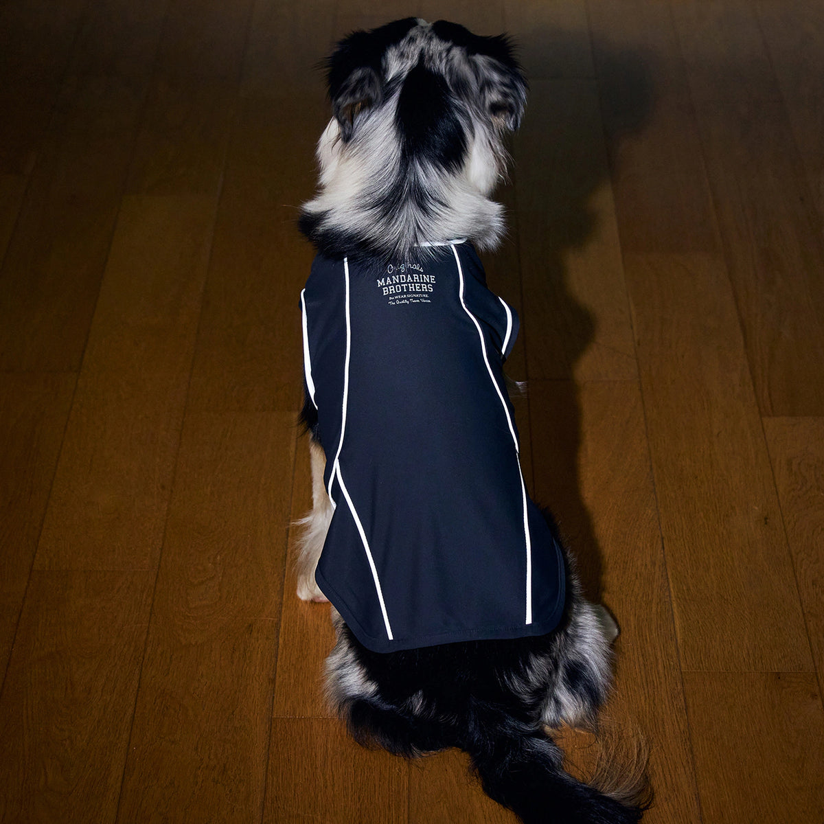 MANDARINE BROTHERS Cooling Fabric Reflective Dog T-Shirt