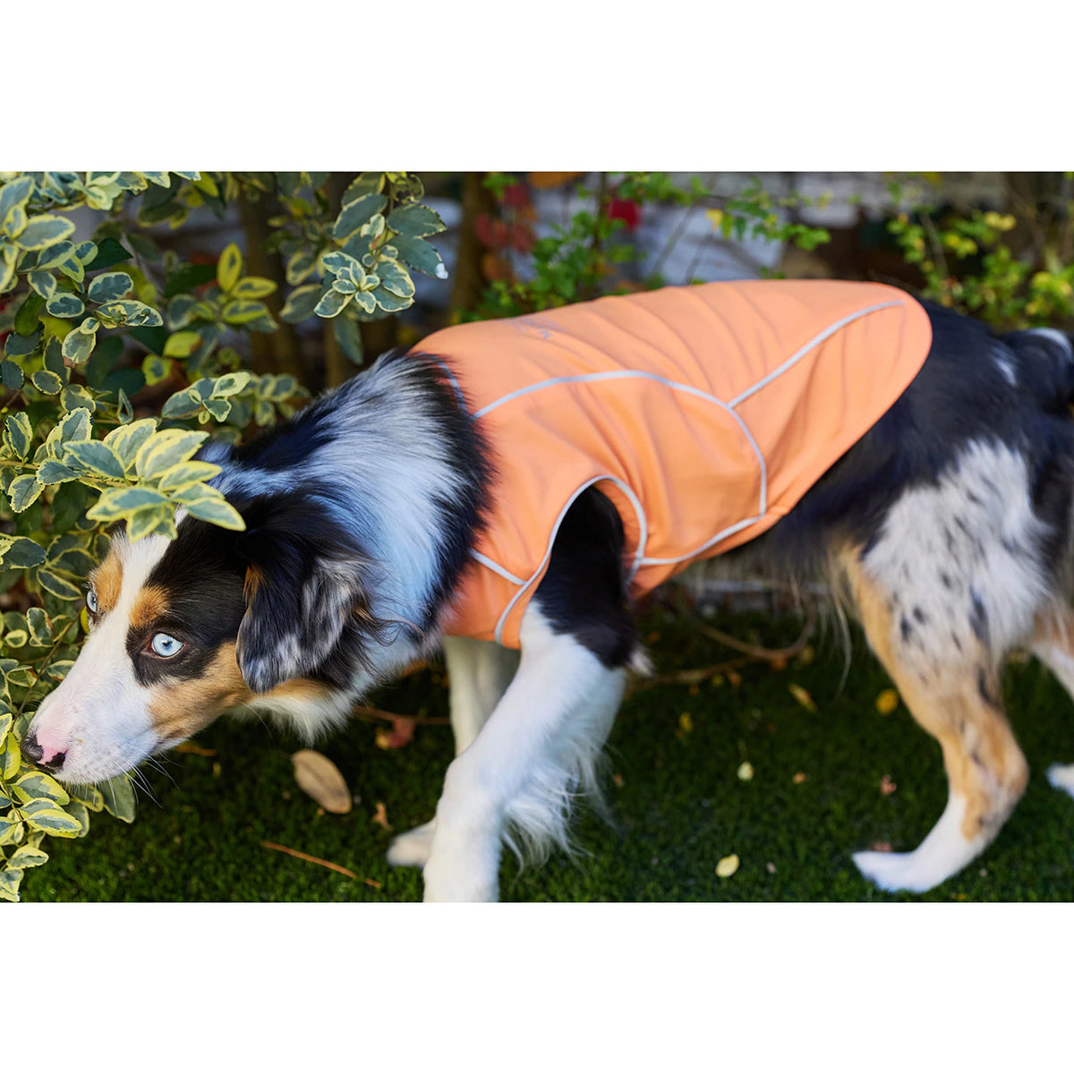 MANDARINE BROTHERS Cooling Fabric Reflective Dog T-Shirt