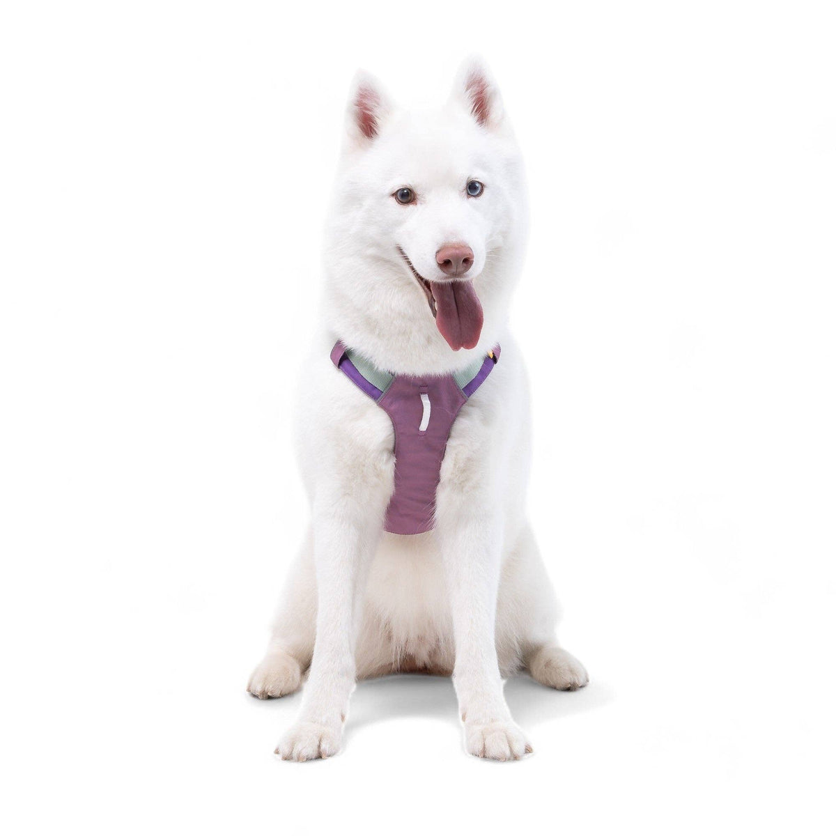 Alpha 360 Dog Harness Mauve Mix