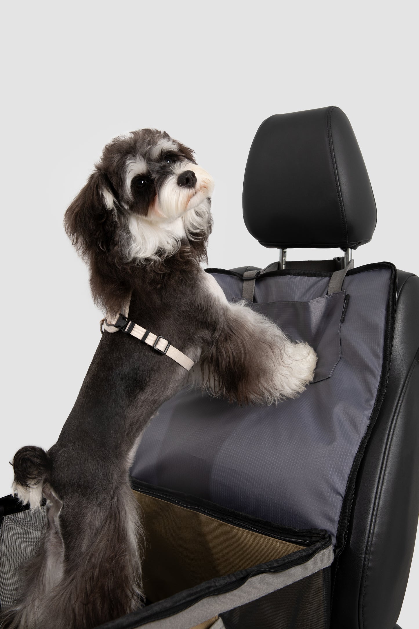 (NEW) HiDream Car Seat Dual Use Backpack