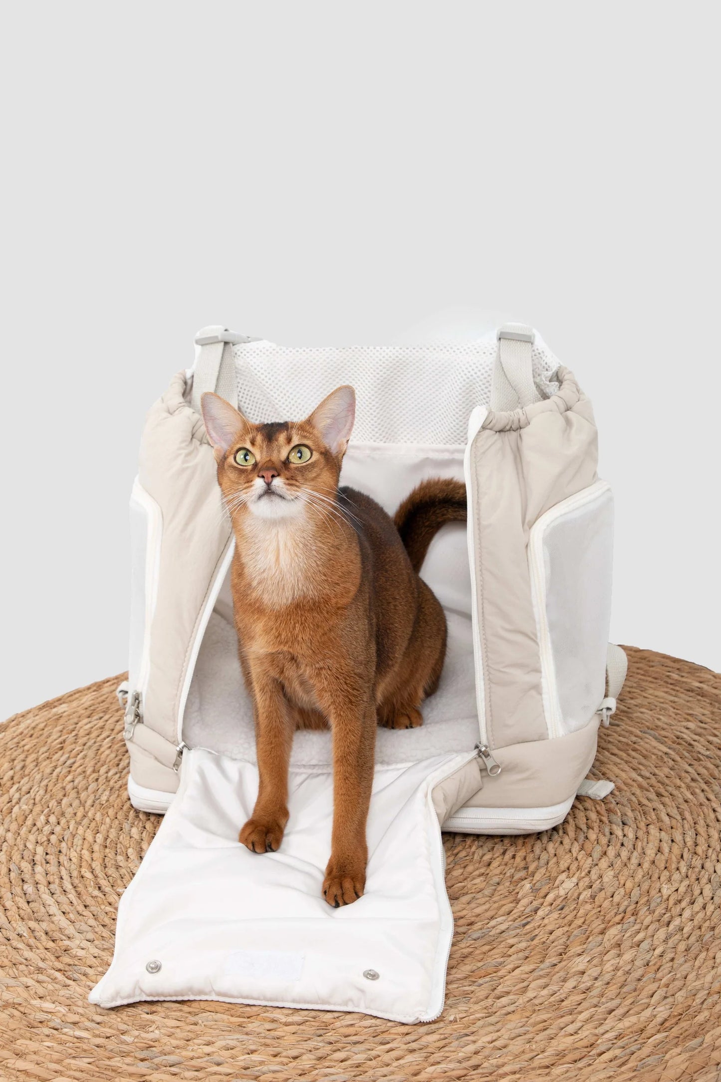 Hidream Puha Series Front carry Pet Carrier