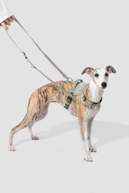 Valley Series - Multi-functional Shock-absorbing Dog Leash - Green