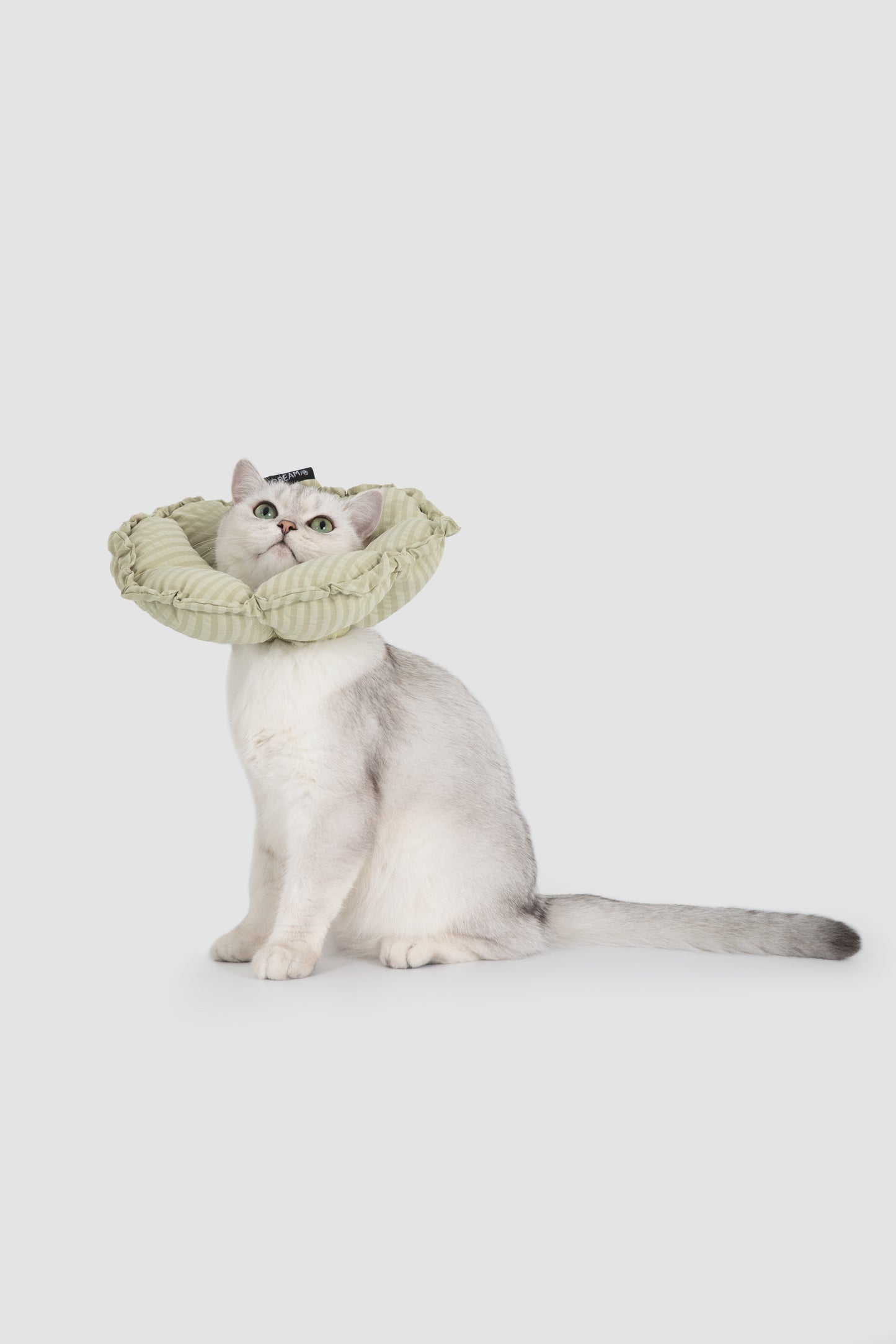 Flower Shaped Adjustable Soft Pet Recovery Collar/Elizabeth Collar - Green Stripe