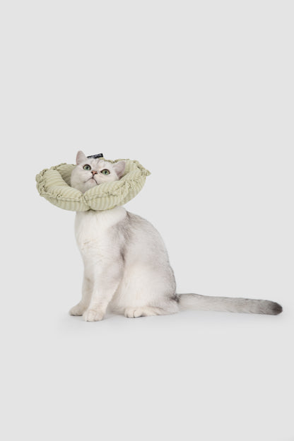 Flower Shaped Adjustable Soft Pet Recovery Collar/Elizabeth Collar - Green Stripe