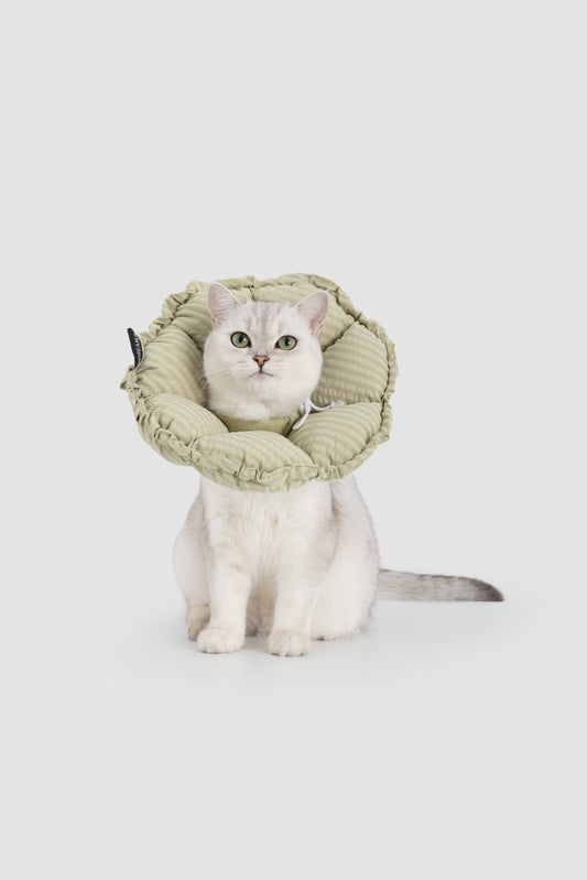Flower Shaped Adjustable Soft Pet Recovery Collar/Elizabeth Collar - Green Stripe