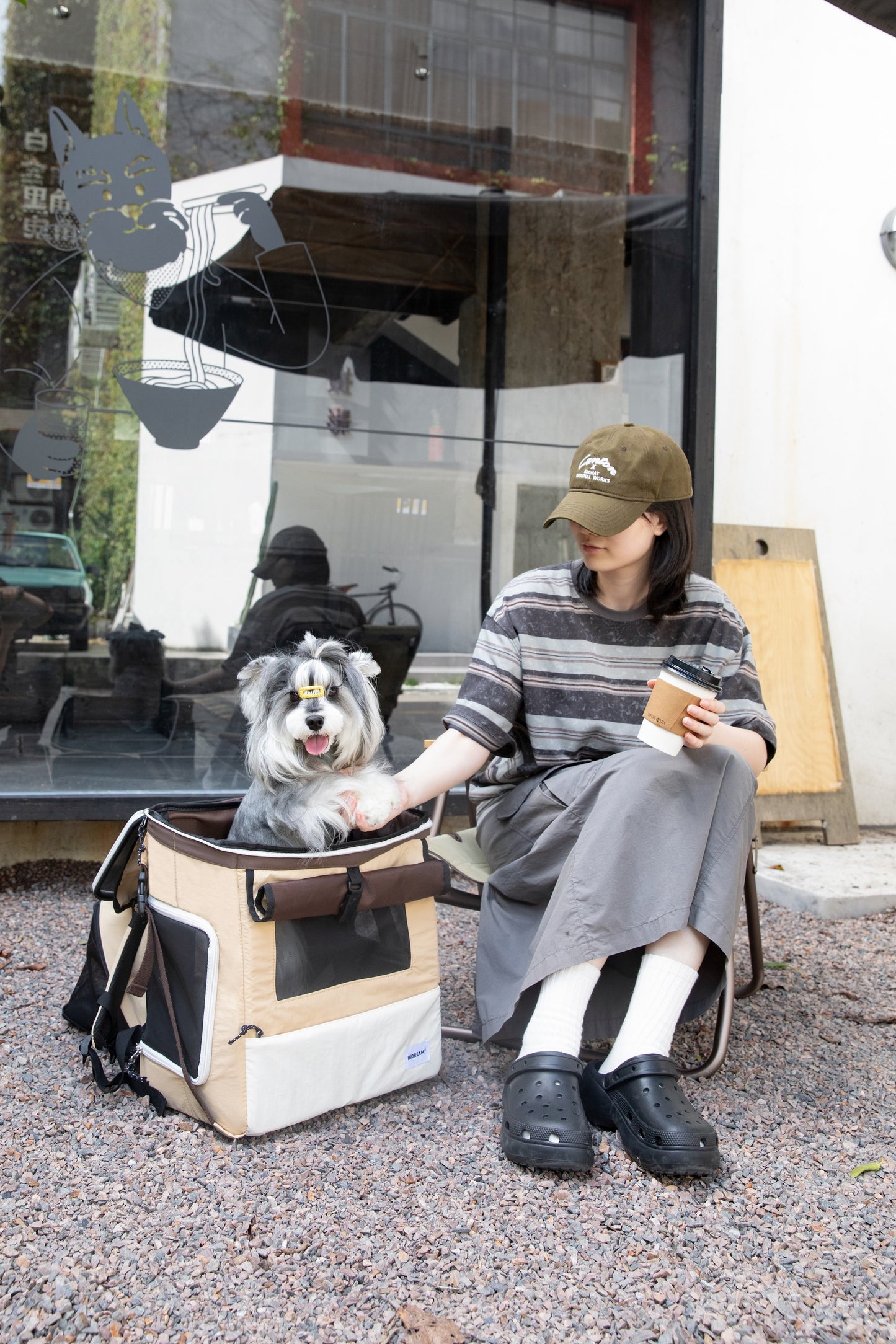 HiDream Expandable Tent Pet Backpack Carrier for Cats & Small Dogs-Light Blue