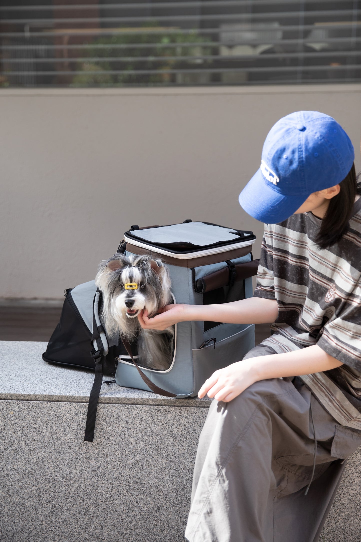 HiDream Expandable Tent Pet Backpack Carrier for Cats & Small Dogs-Light Blue