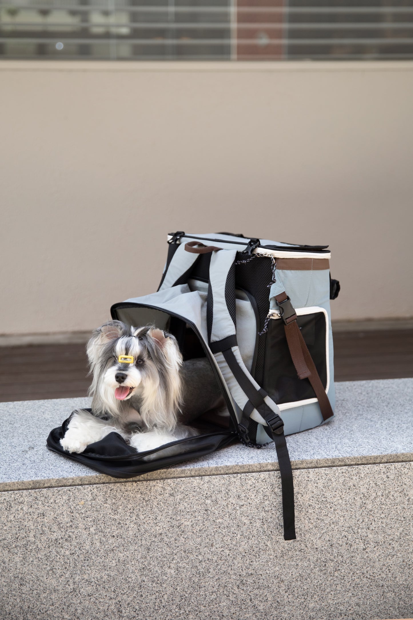 HiDream Expandable Tent Pet Backpack Carrier for Cats & Small Dogs-Light Blue