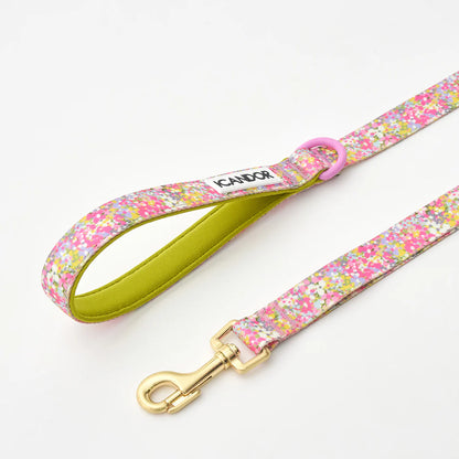 iCANDOR Gentle Leash 1.6m