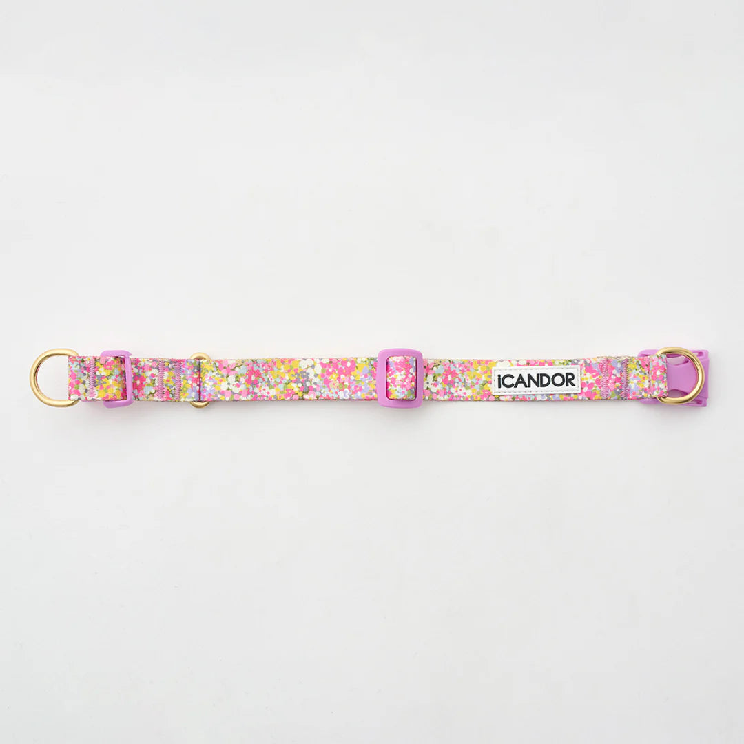 iCANDOR Gentle Collar Dual