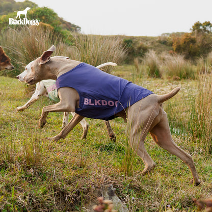 BlackDoggy Cooling Tank I – Cooling Vest