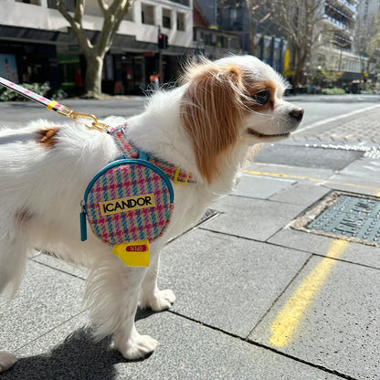 ICANDOR Dingle-Dangle Bag