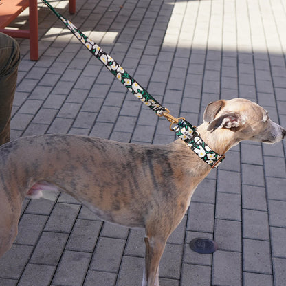 iCANDOR Smooth Martingale Collar 38mm