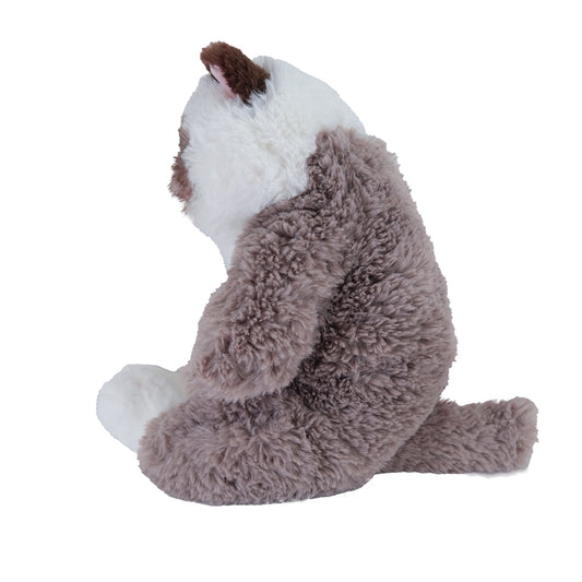 LYING CAT SLEEPING FACE STUFFED TOY M RAGDOLL GYBR