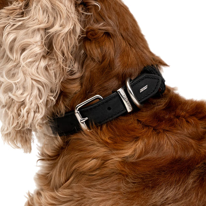 Ezydog Oxford Leather Classic Dog Collar - Brown