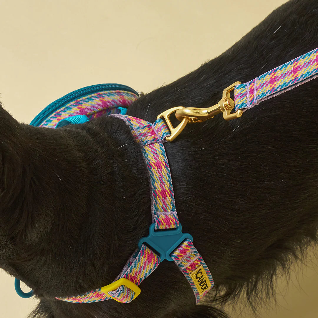 iCANDOR Gentle Leash 1.6m