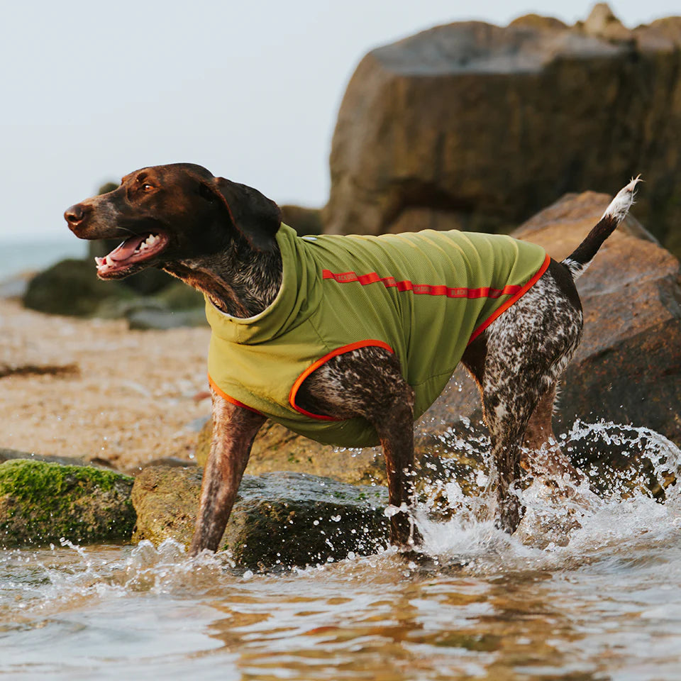 BlackDoggy “Javik” Cooling Vest