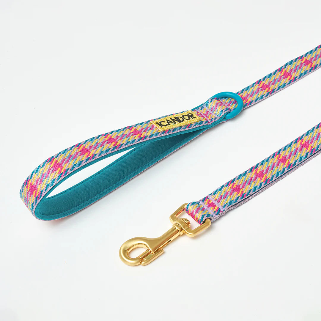 iCANDOR Gentle Leash 1.6m