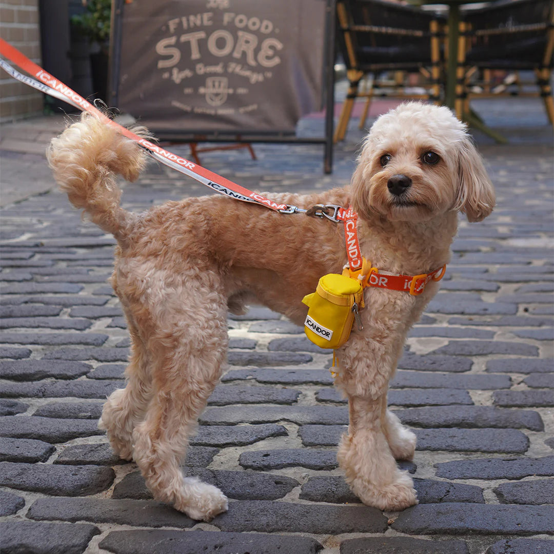 ICANDOR Pooch Pouch Poop Bag Holder