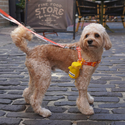 ICANDOR Pooch Pouch Poop Bag Holder