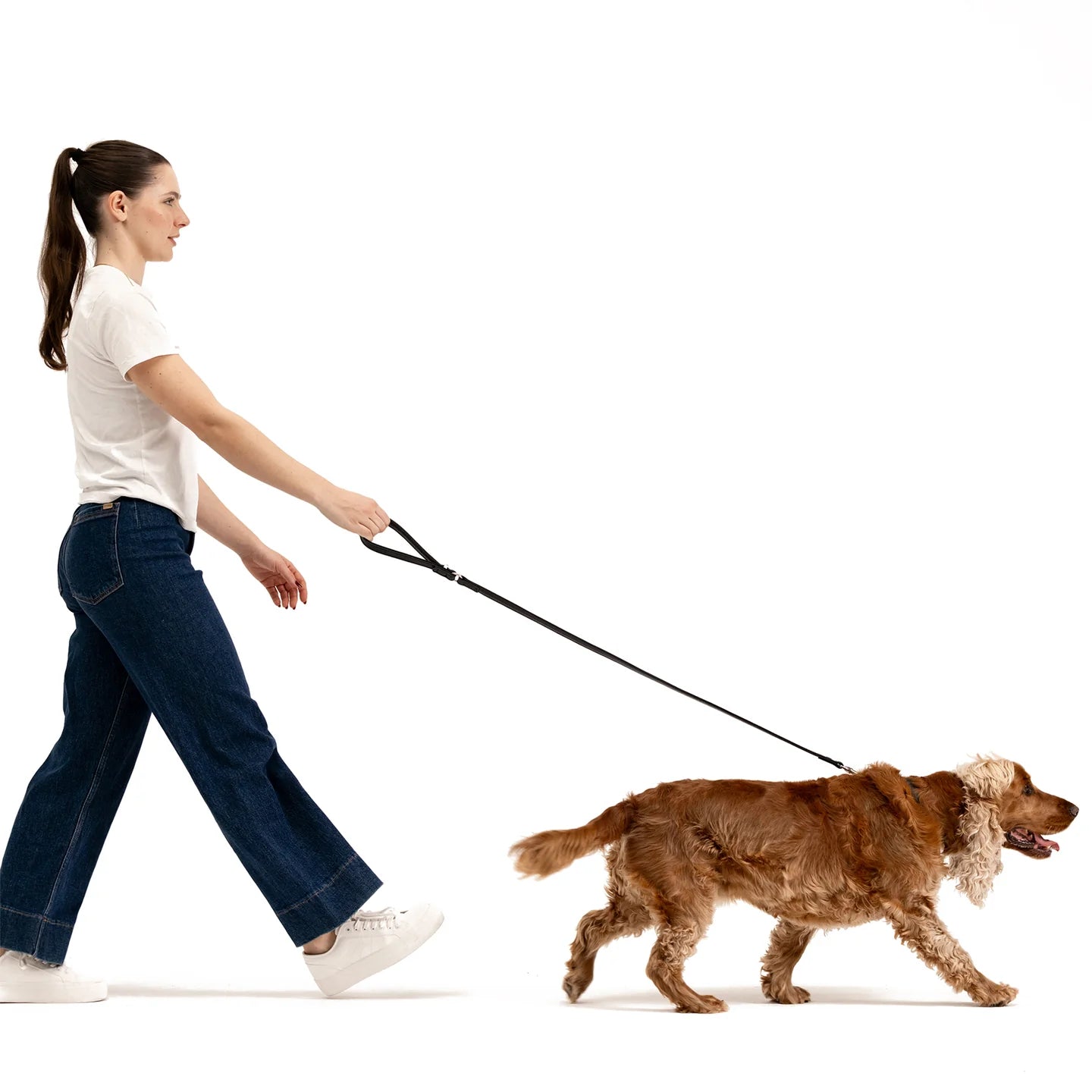 Ezydog Oxford Leather - Classic Leash