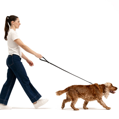 Ezydog Oxford Leather - Classic Leash