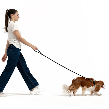 Ezydog Oxford Leash LITE