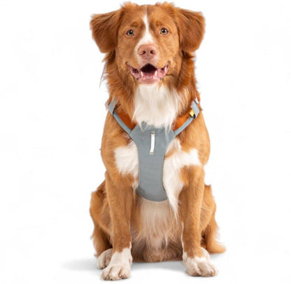 Woolly Wolf Alpha 360 Dog Harness Glacier Green Mix