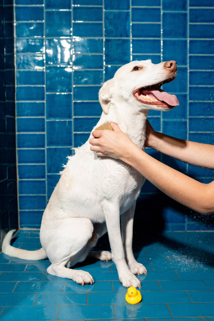 Springland Dog Shampoo Bar - Nourishing, Lavender + Rosemary