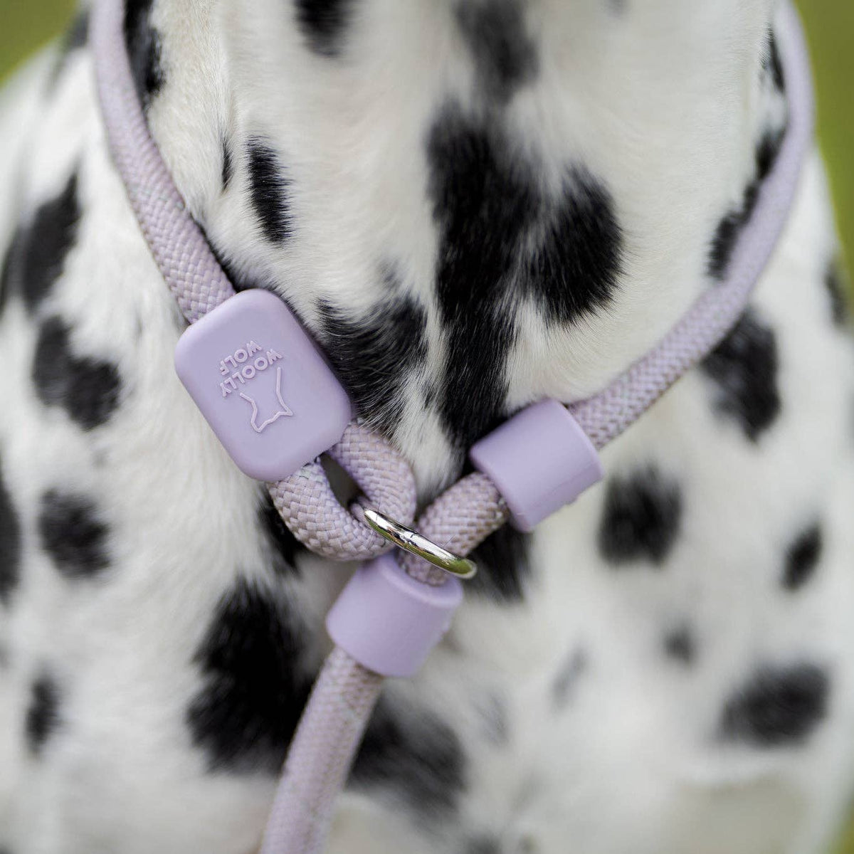 Woolly Wolf Retriever Leash Black