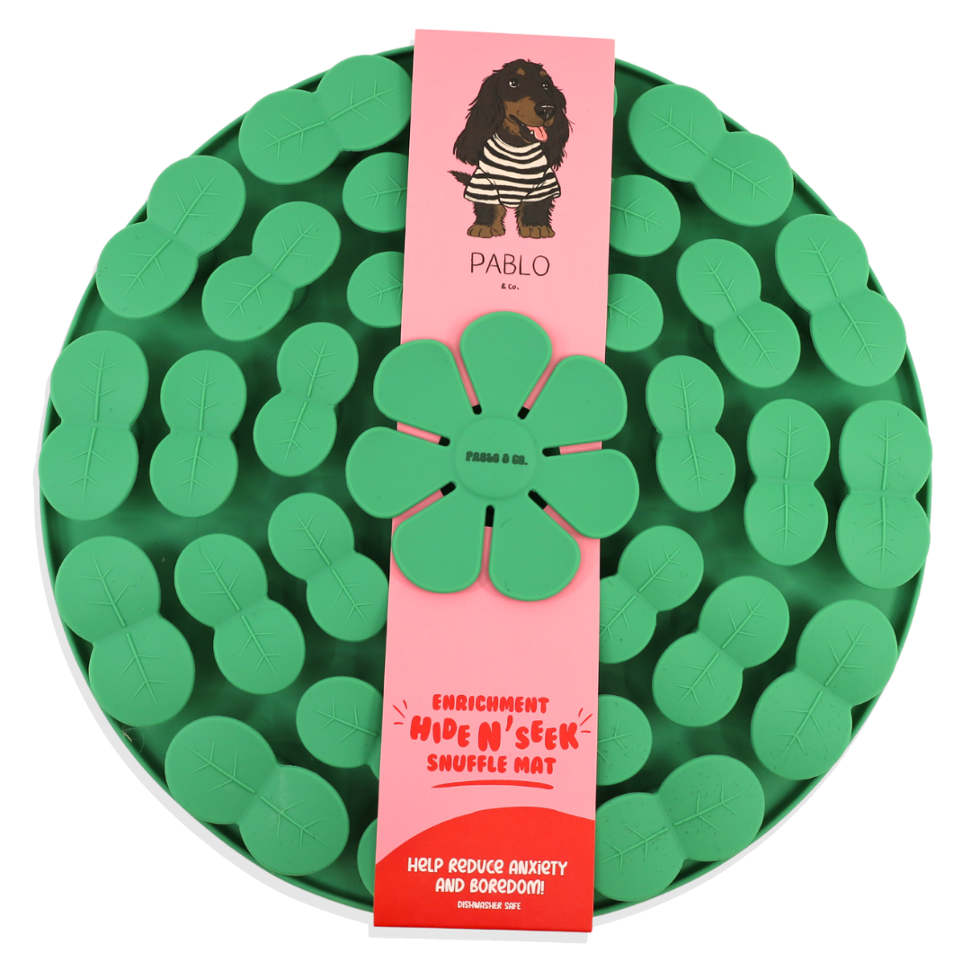 Enrichment Hide n’ Seek Snuffle Mat