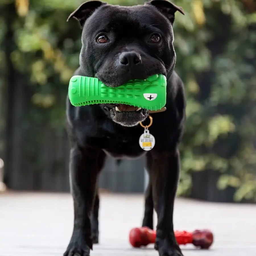 Happy Staffy Co. Crocodile Dental Chew Toy