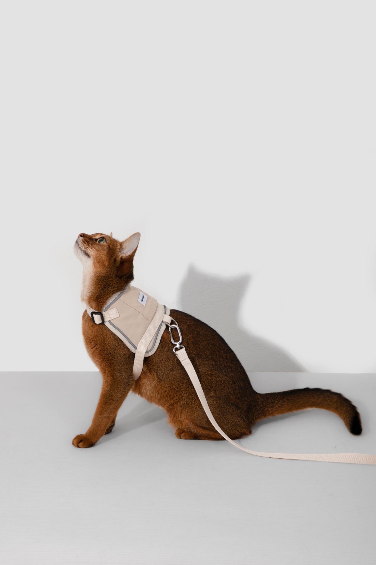 Valley Series Cat Vest Dog Harness Dog Leash Set - Beige