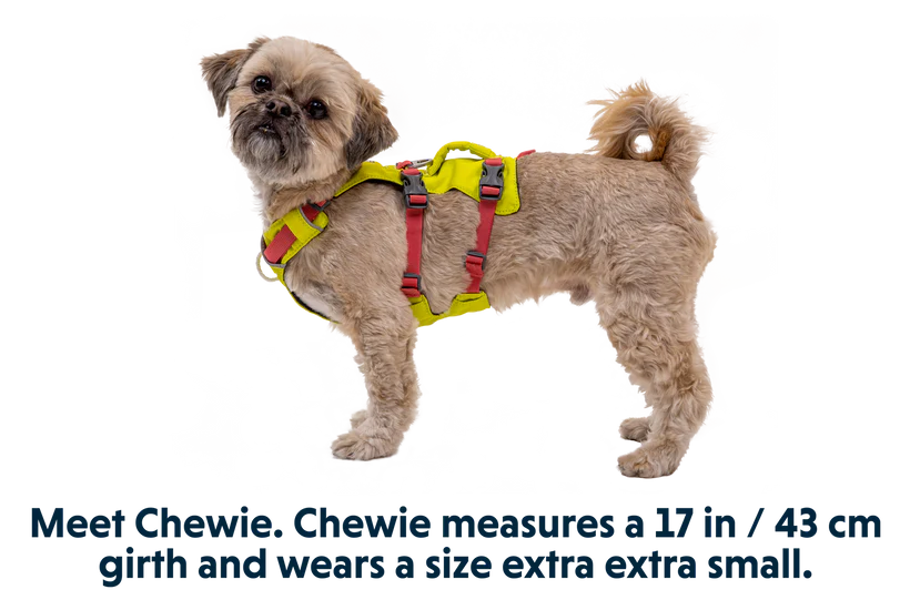 RUFFWEAR Flagline Harness Lichen Green