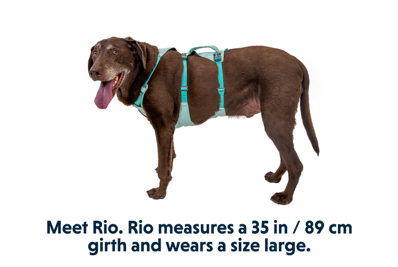 RUFFWEAR Flagline Harness Sage Green