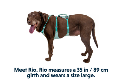 RUFFWEAR Flagline Harness Sage Green