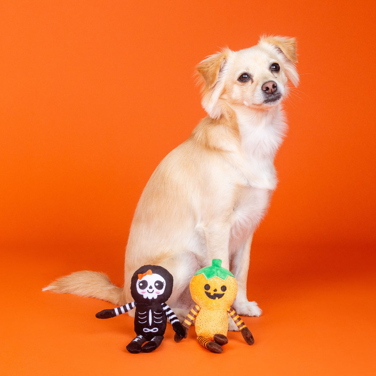FRINGE STUDIO OH MY GOURD 2PC DOG TOY SET HALLOWEEN