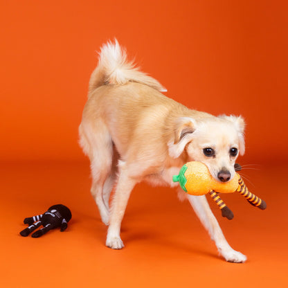 FRINGE STUDIO OH MY GOURD 2PC DOG TOY SET HALLOWEEN