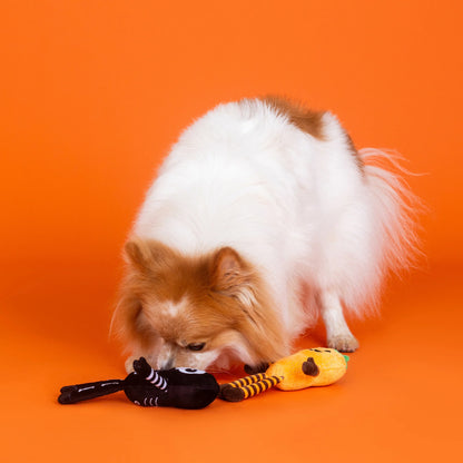 FRINGE STUDIO OH MY GOURD 2PC DOG TOY SET HALLOWEEN