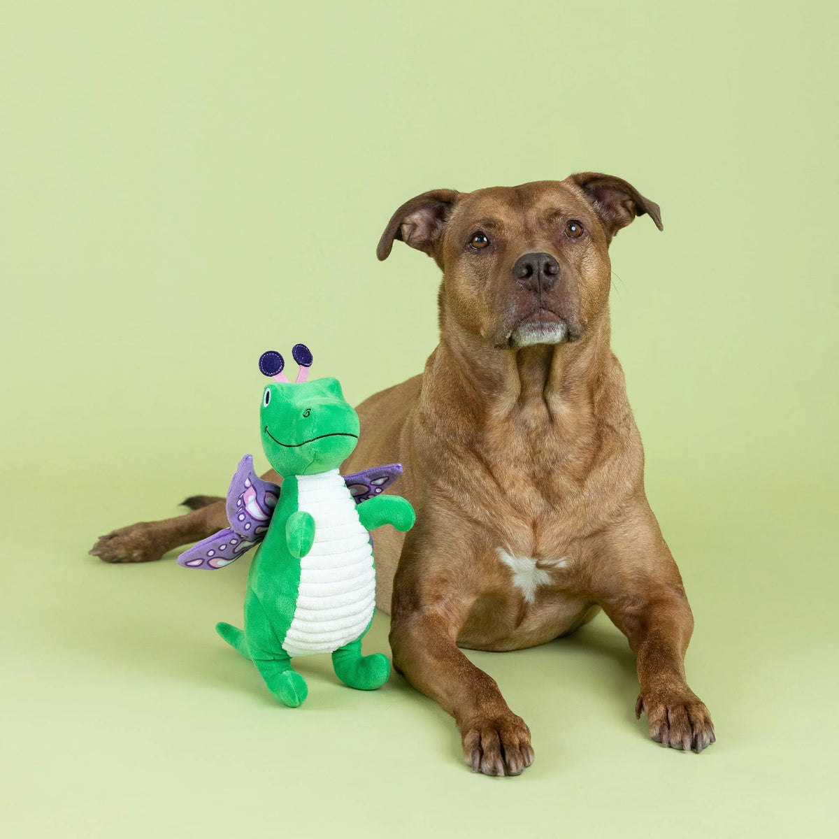 FRINGE STUDIO FLUTTER REX PLUSH DOG TOY