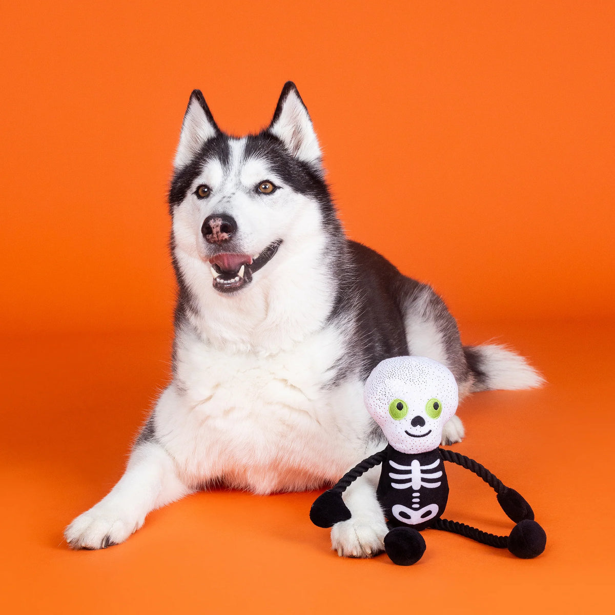 FRINGE STUDIO GOT A BONE TO PICK PLUSH DOG TOY HALLOWEEN