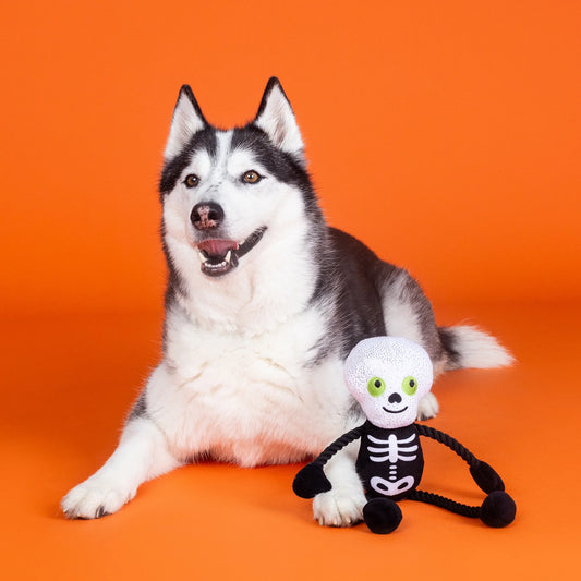 FRINGE STUDIO GOT A BONE TO PICK PLUSH DOG TOY HALLOWEEN