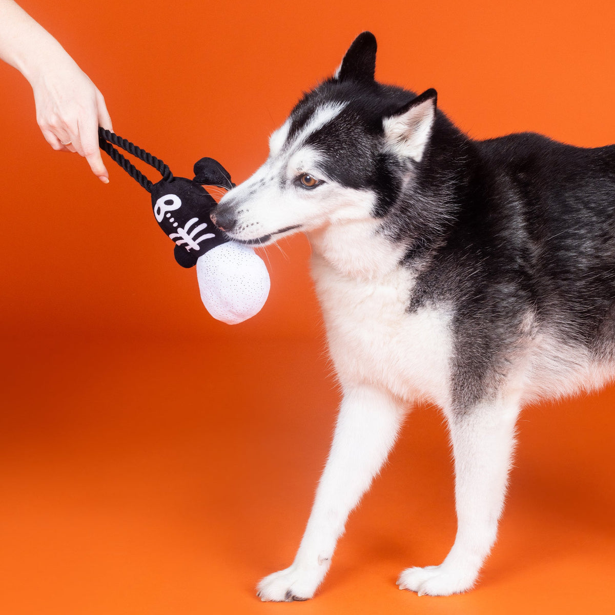 FRINGE STUDIO GOT A BONE TO PICK PLUSH DOG TOY HALLOWEEN