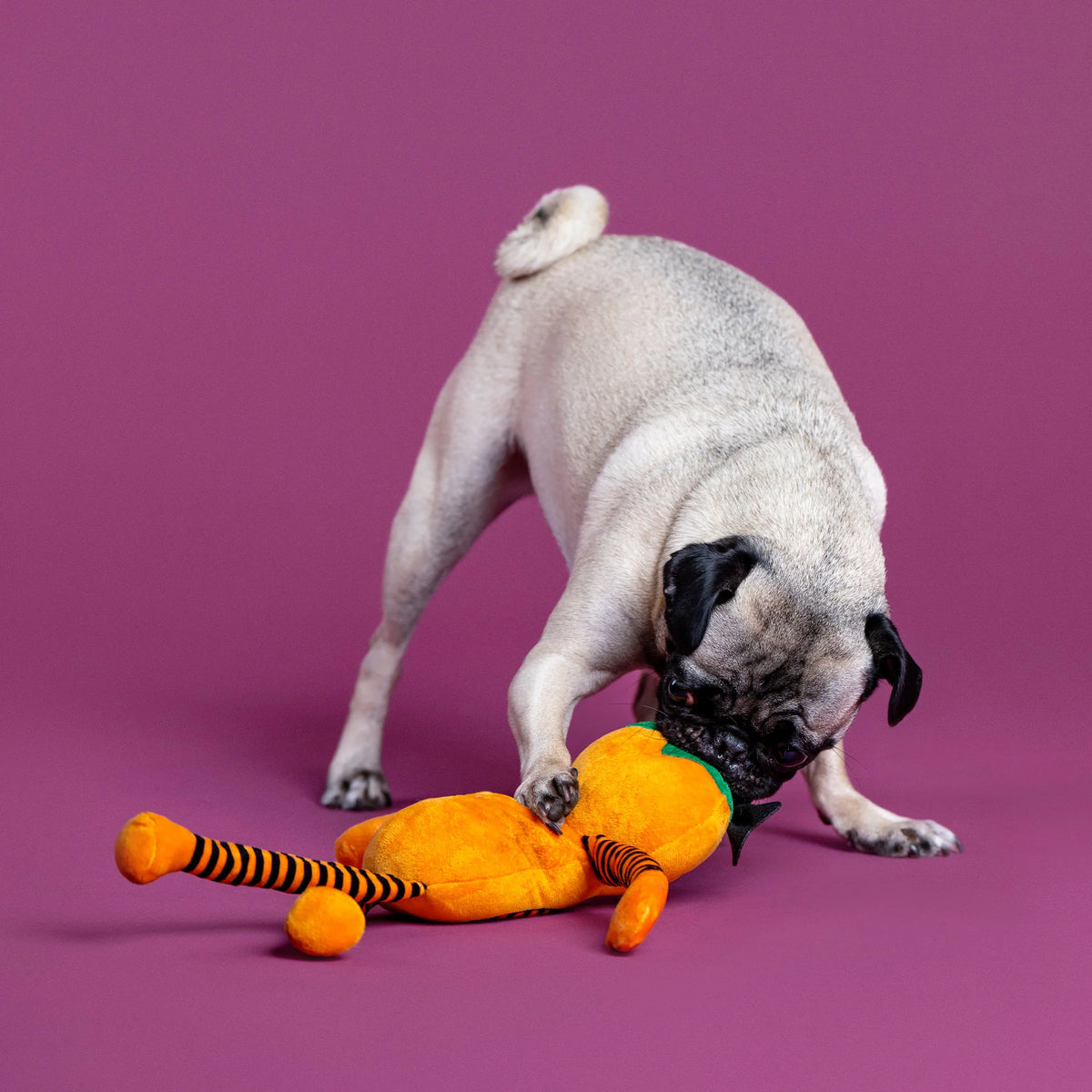 FRINGE STUDIO HARVEST CUTIE PLUSH DOG TOY HALLOWEEN