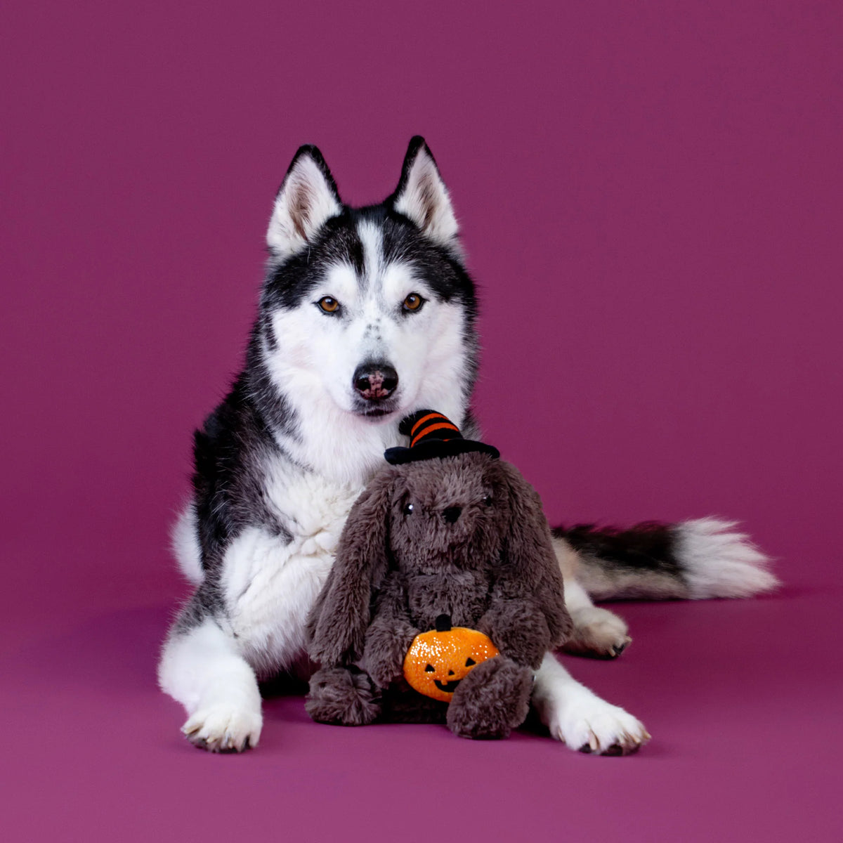 FRINGE STUDIO HOCUS POCUS HARE PLUSH DOG TOY HALLOWEEN