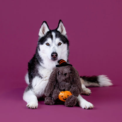 FRINGE STUDIO HOCUS POCUS HARE PLUSH DOG TOY HALLOWEEN