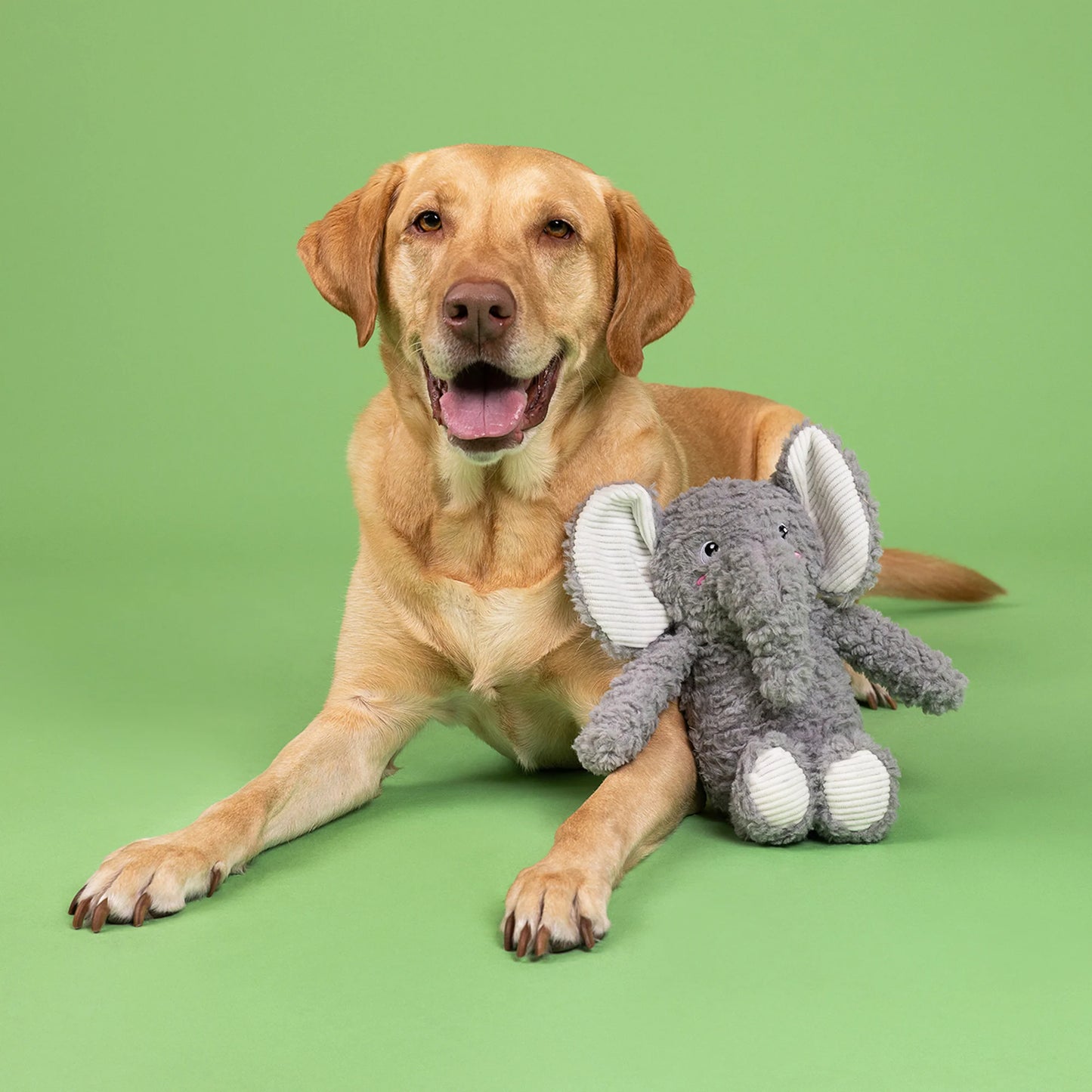 FRINGE STUDIO LOVE YOU A TON PLUSH DOG TOY