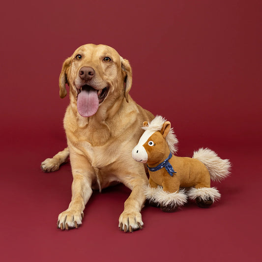 FRINGE STUDIO HAY THERE CUTIE PLUSH DOG TOY