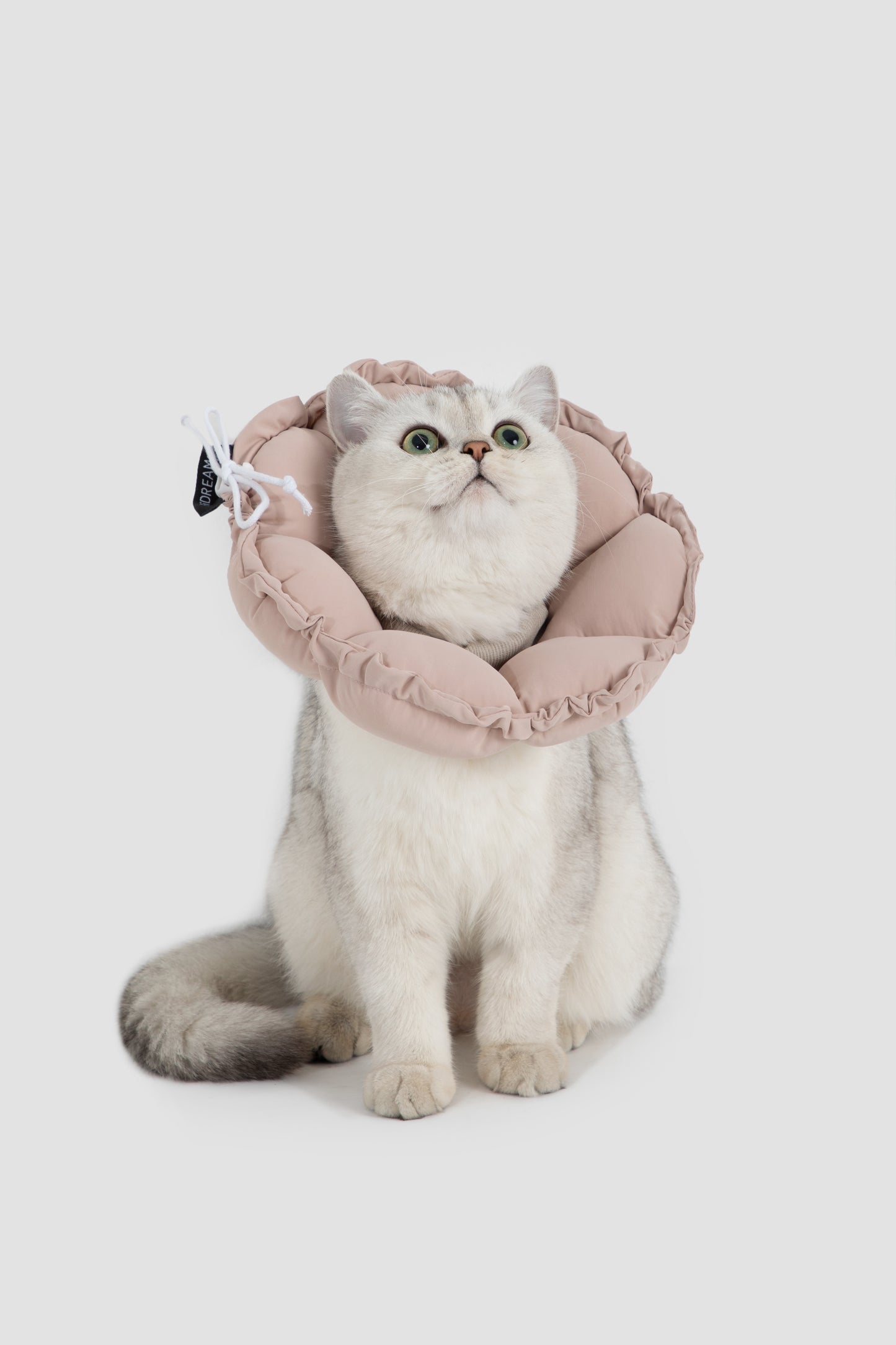 Flower Shaped Adjustable Pet Recovery Collar/Elizabeth Collar - Chestnut Pink